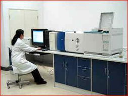 技术服务的定义、类型与价值